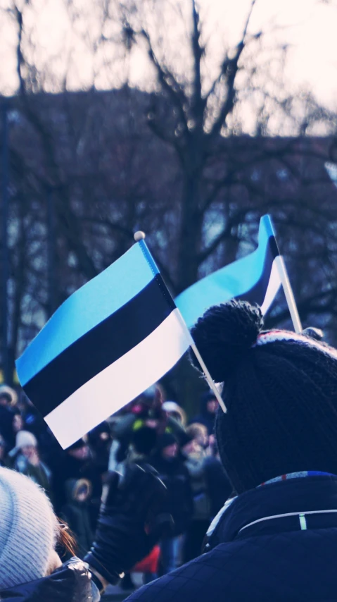 two people holding flags at a political rally