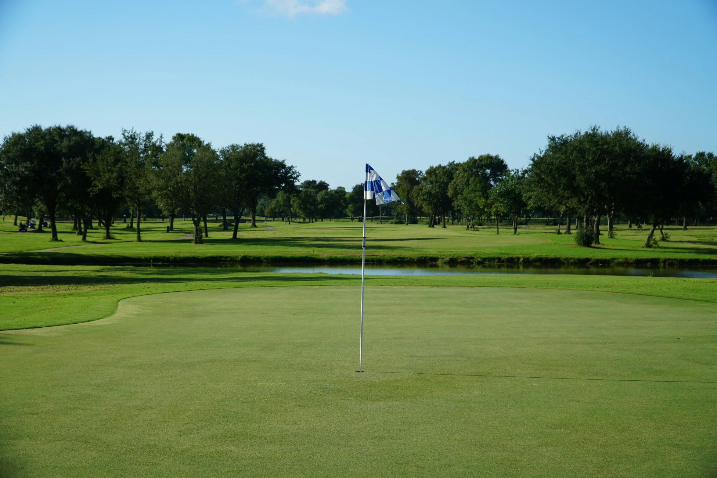 a flag is sticking in the hole on the grass