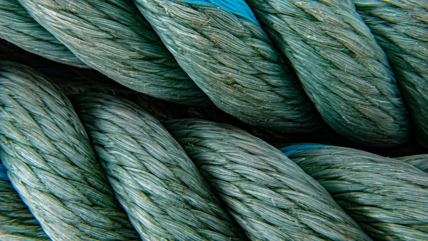 a close up image of a close up image of a thread