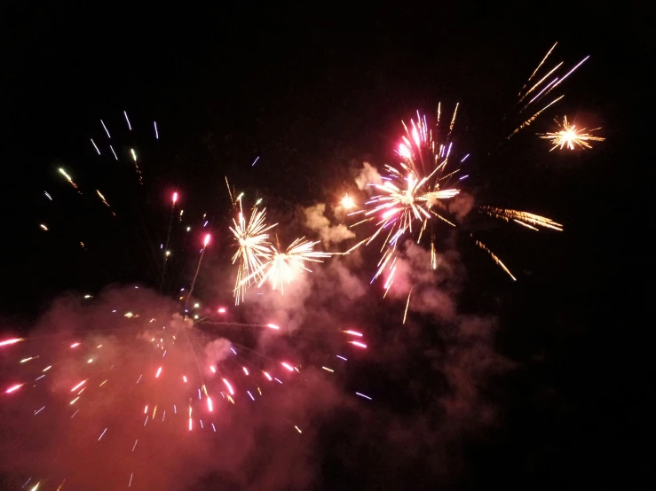 a colorful firework bursting up in the sky