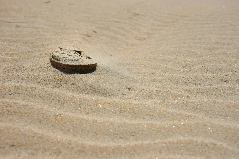 a sand covered rock sitting on top of a sandy beach