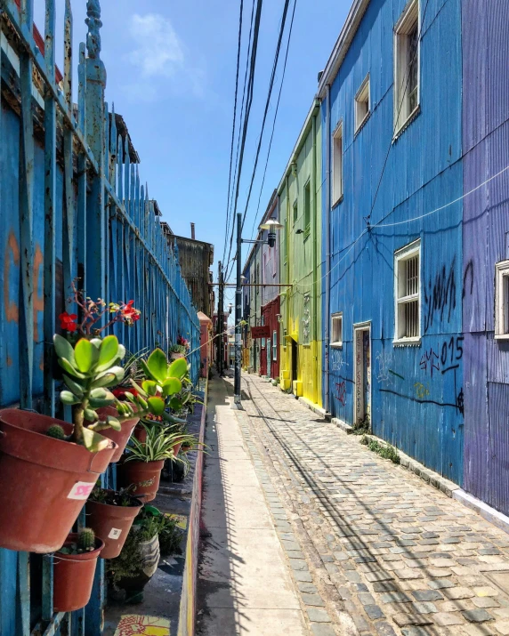 a narrow street that has blue buildings and many flowers on it