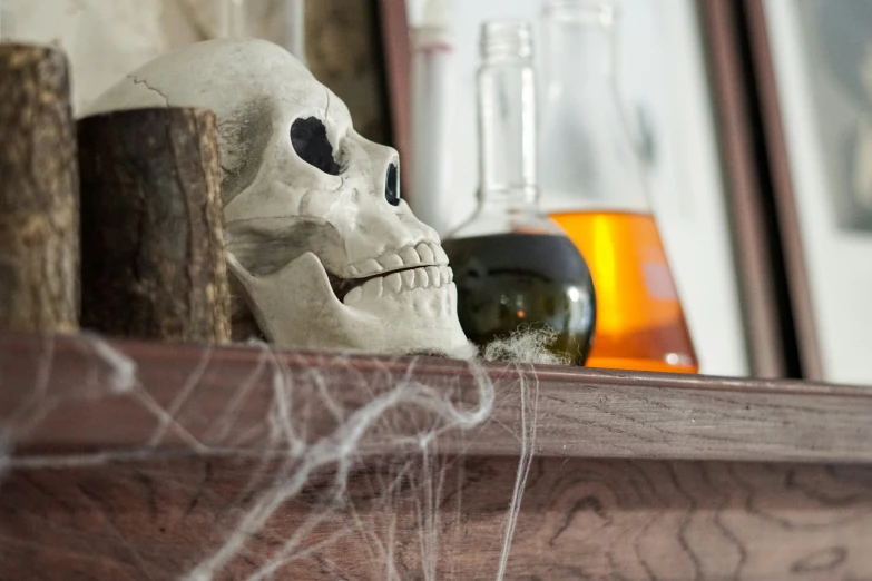 a human skull on a shelf with other jars