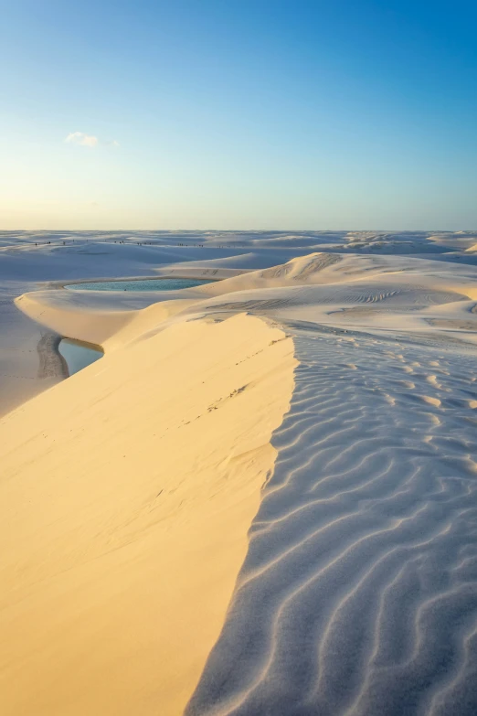 the desert is very sandy and clean for the animals to roam