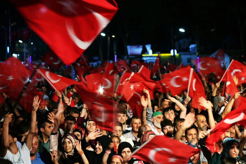 a large group of people waving flags in the air