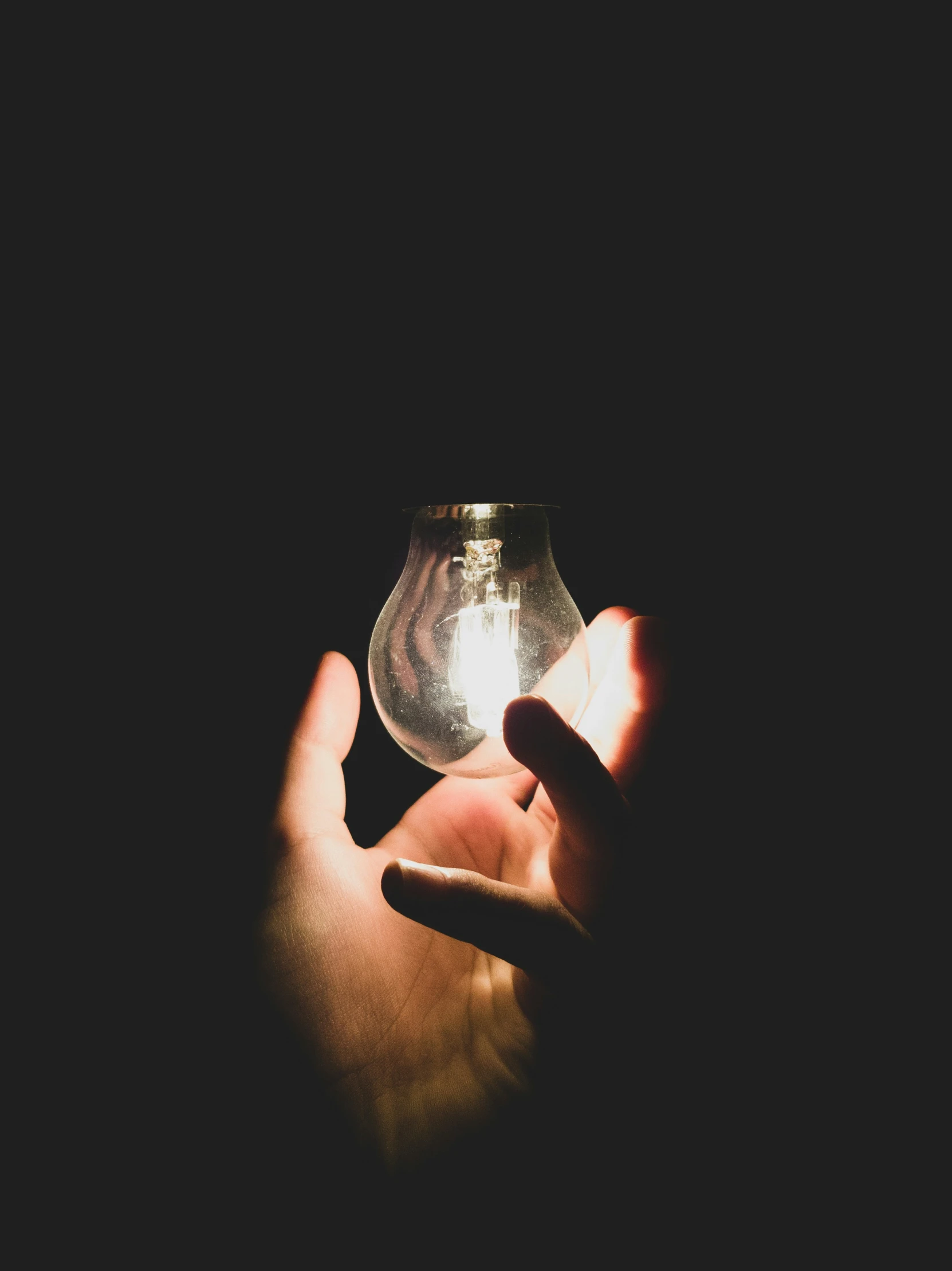 a light bulb being held in someone's hand