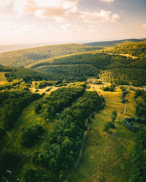 an aerial view of a beautiful green area