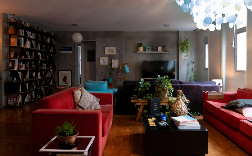 a living room has a bookshelf, couches and plants