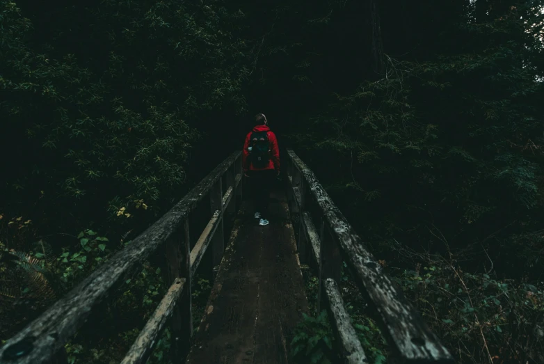 a person in a red jacket walking down a dark path