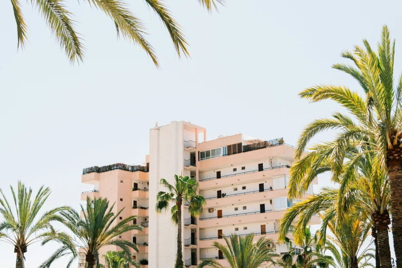 there are palm trees next to the buildings