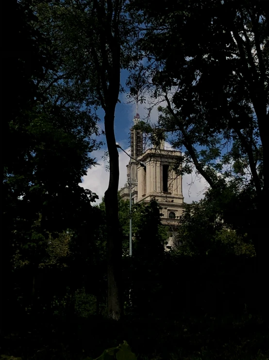 a tower with a clock rises over the trees