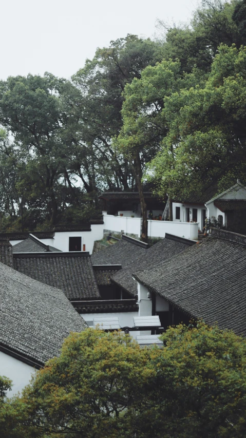 black roofs are in front of green trees