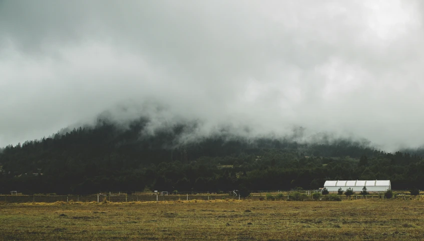 this is an image of a cloudy pasture