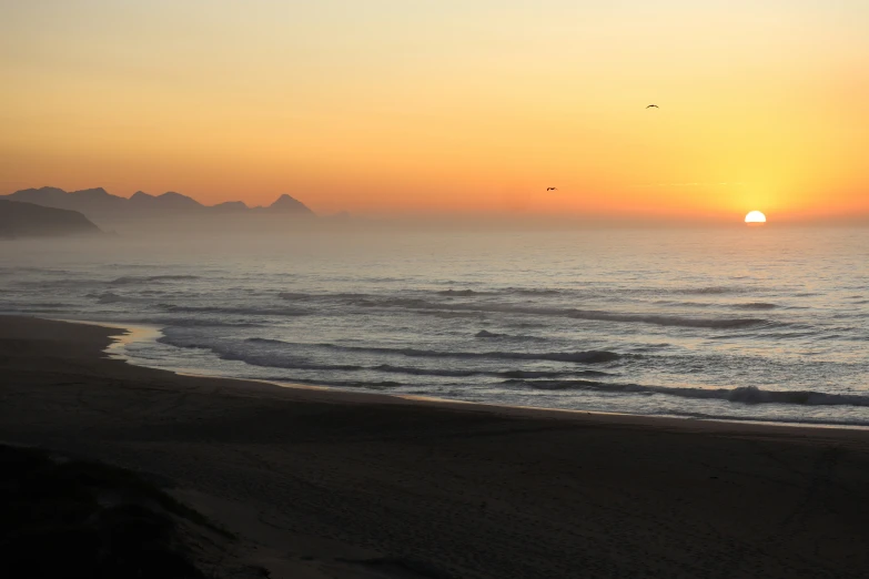 a view of a sunset on the beach with a bird flying