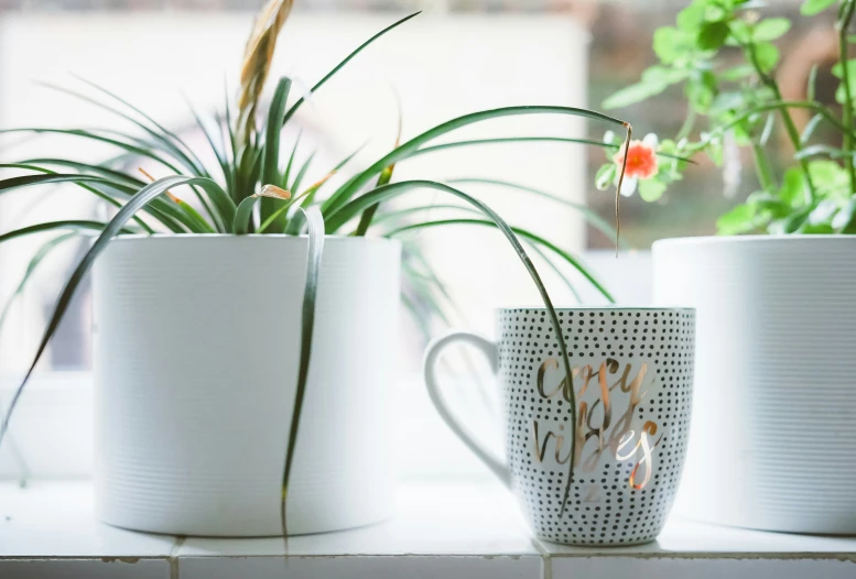 three mugs with designs sit on a ledge by some plants