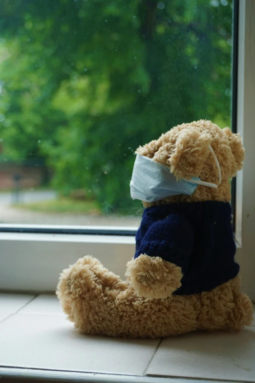 a stuffed animal with a face mask on looking out a window