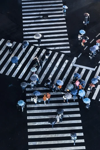 an overhead view of people carrying umbrellas crossing a cross walk