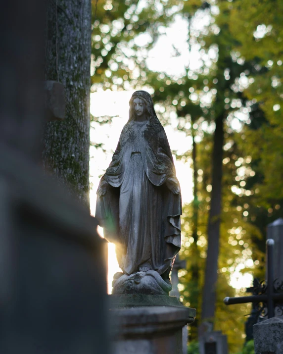 the statue is standing in front of a tree