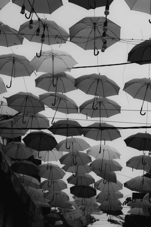 many umbrellas hang from wires in the air