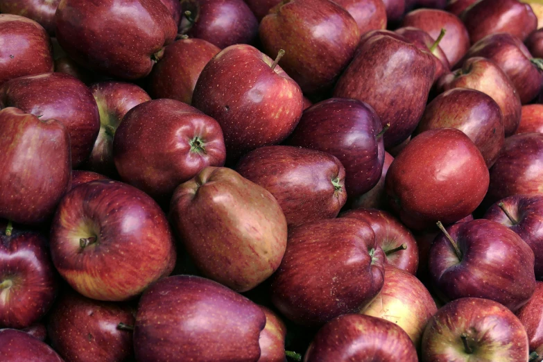 an assortment of apples, all ripe in the same bunch