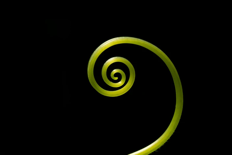 the yellow spiral in the dark po is very bright