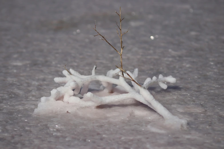 a bunch of snow is lying on the ground