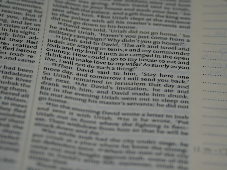 closeup of words written on a text book