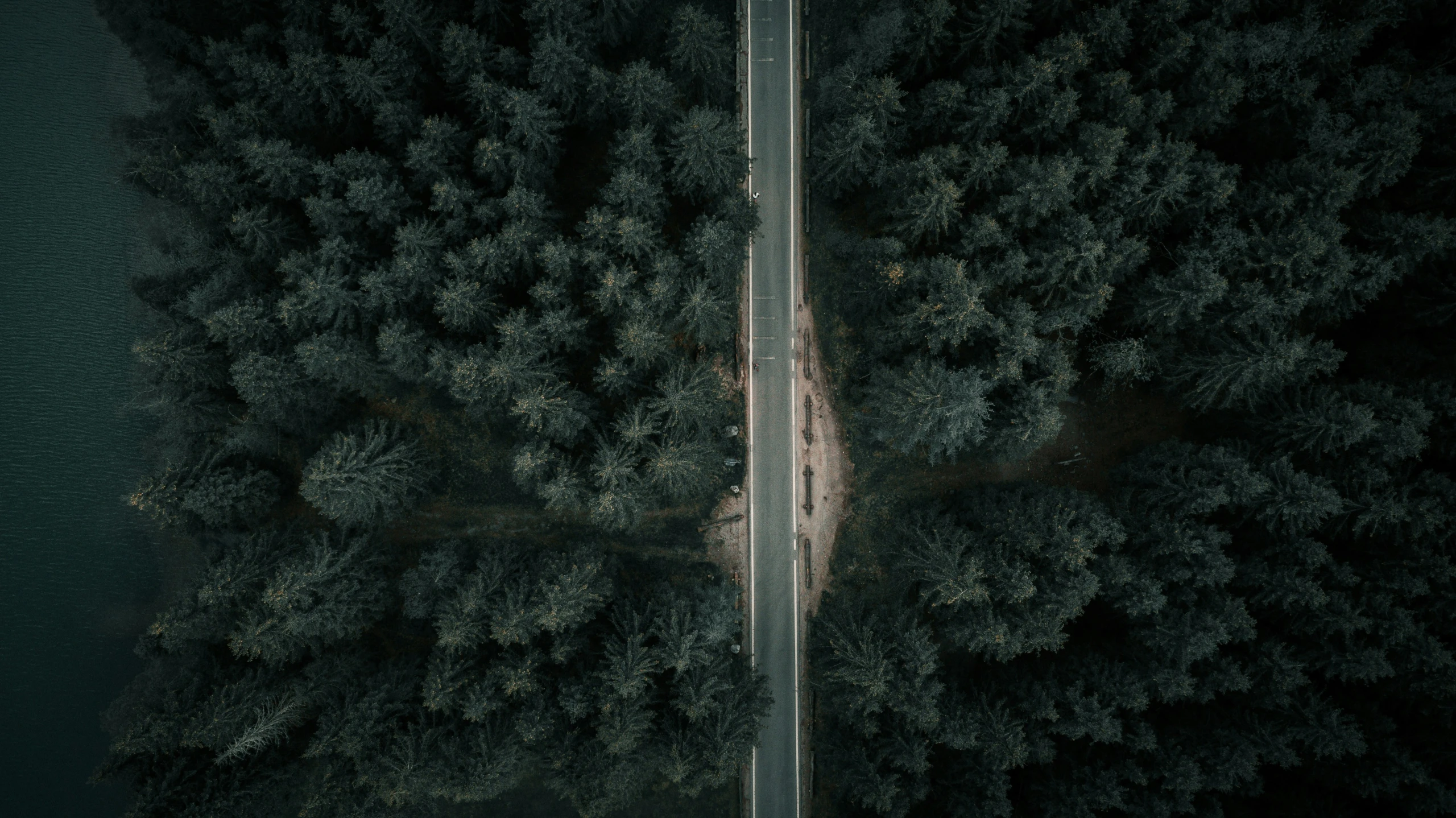 a long road with trees on both sides of it