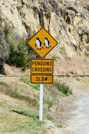 a road sign for penguins crossing slow on the side of the road