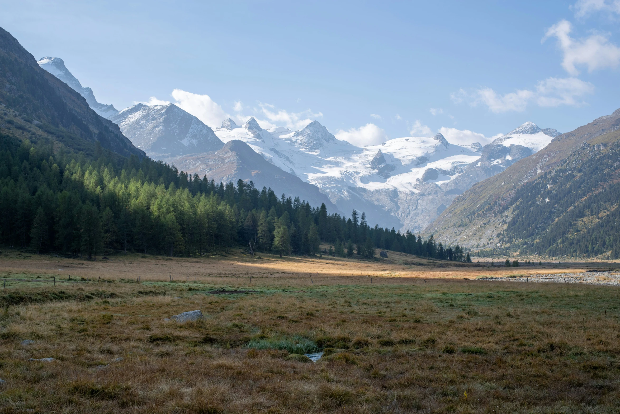 a grassy field next to a lake with some trees on both sides of it