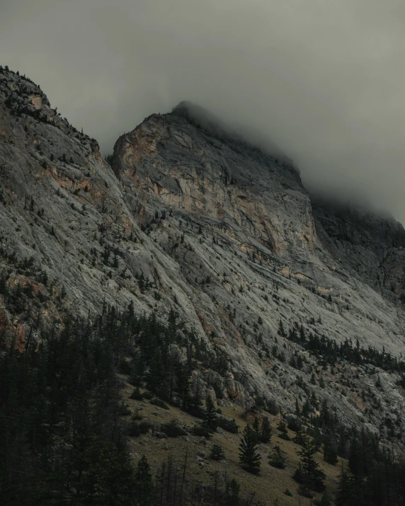 dark, drab rocky hillside covered in treeline