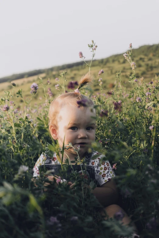 a child sitting in the middle of purple flowers