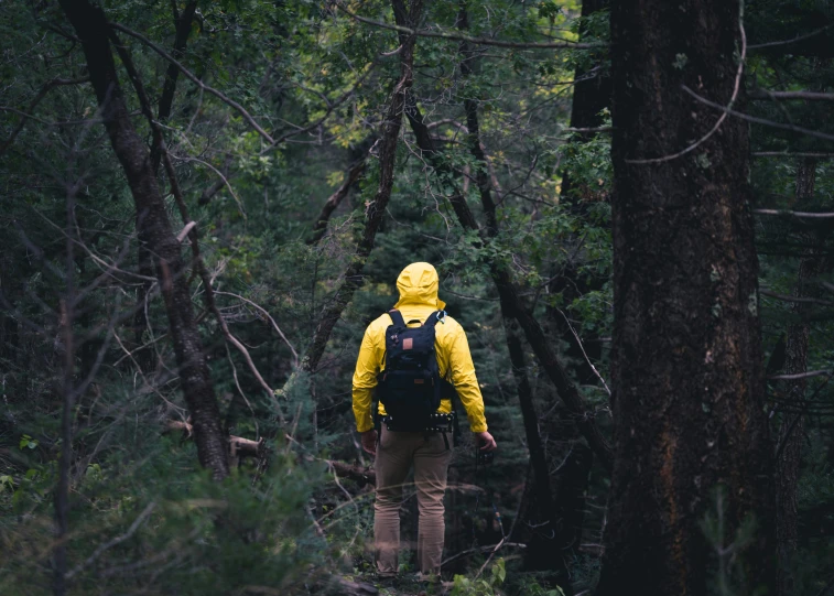 man walking through a forest in yellow jacket