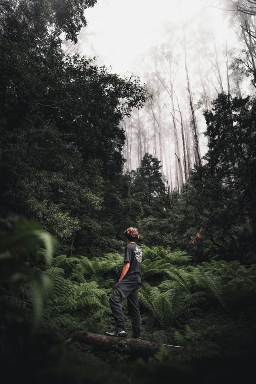 the young man walks on the log in the woods