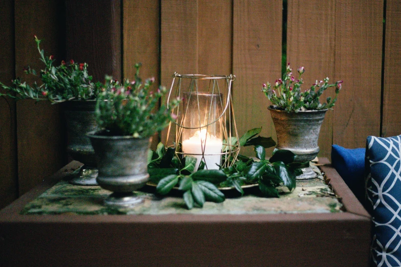 some plants and some lights on a table
