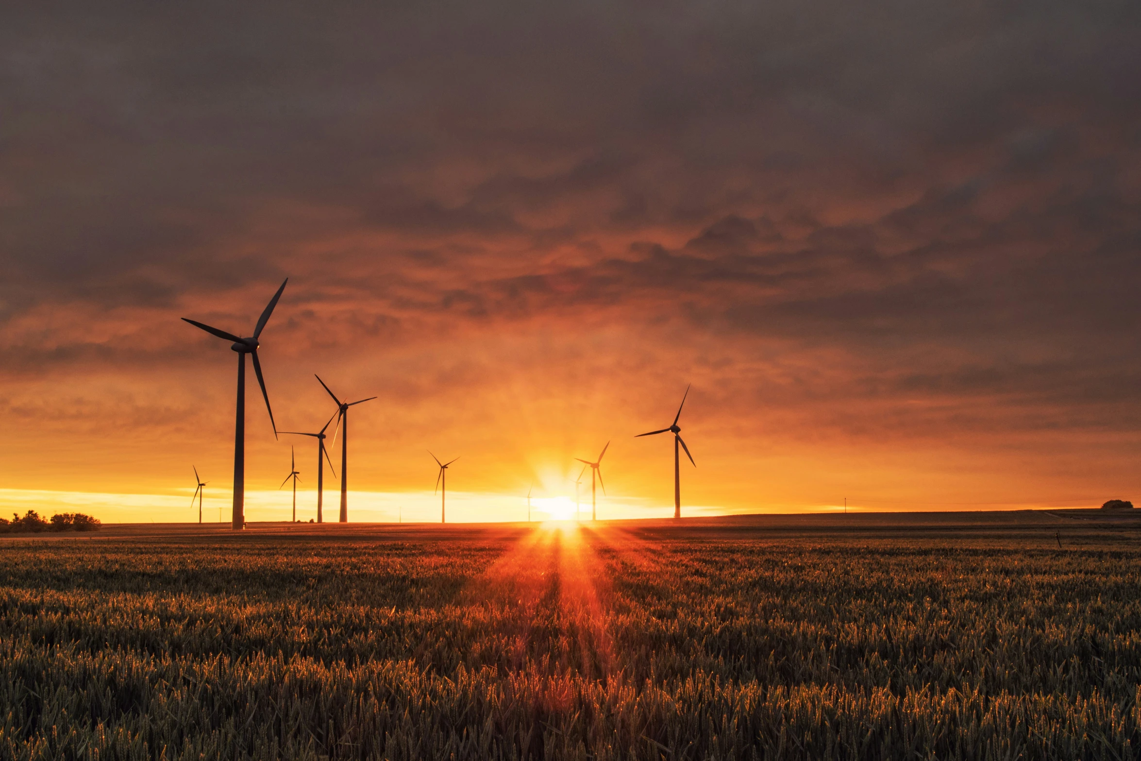 the sun rises above a field full of wind turbines