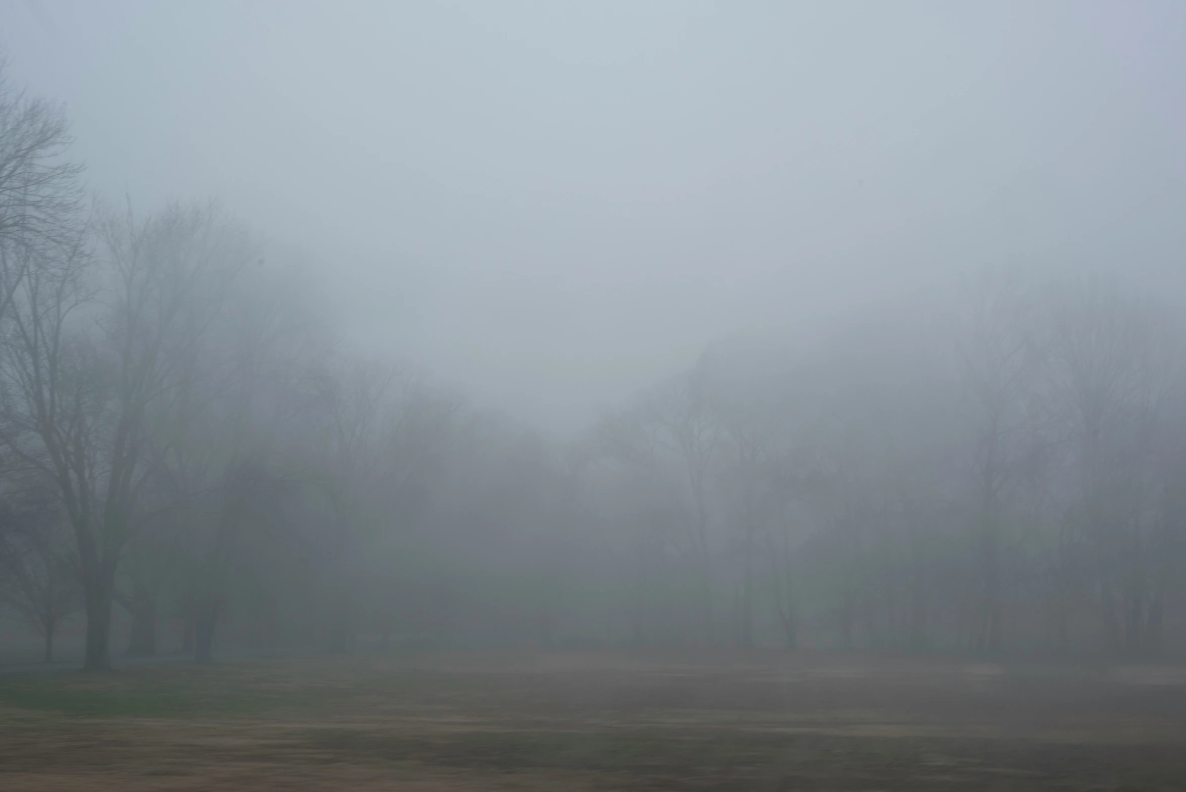 a field and grass covered in a lot of fog