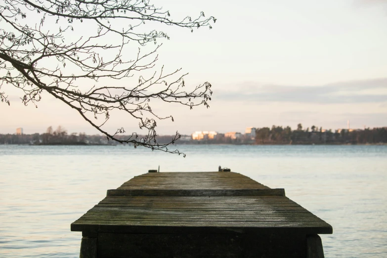 a tree nch hangs over a wooden dock on the water