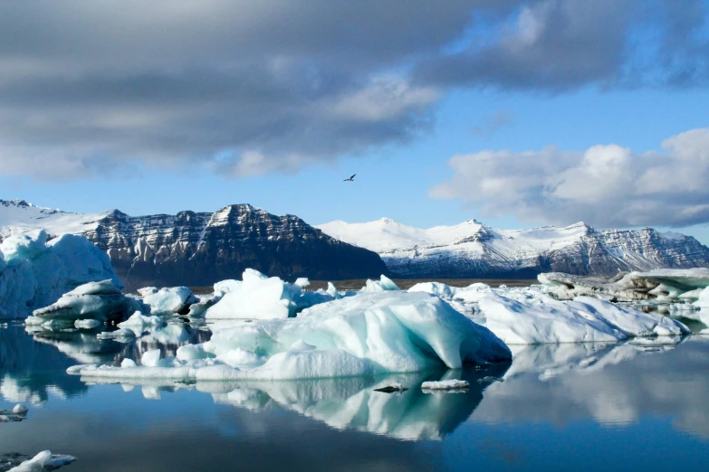 a large expanse of icebergs in front of snowy mountains