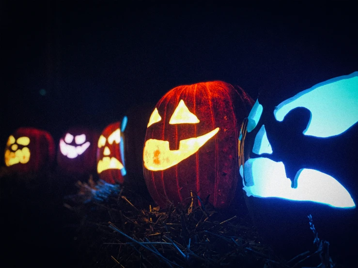 an array of pumpkins glow brightly on black ground