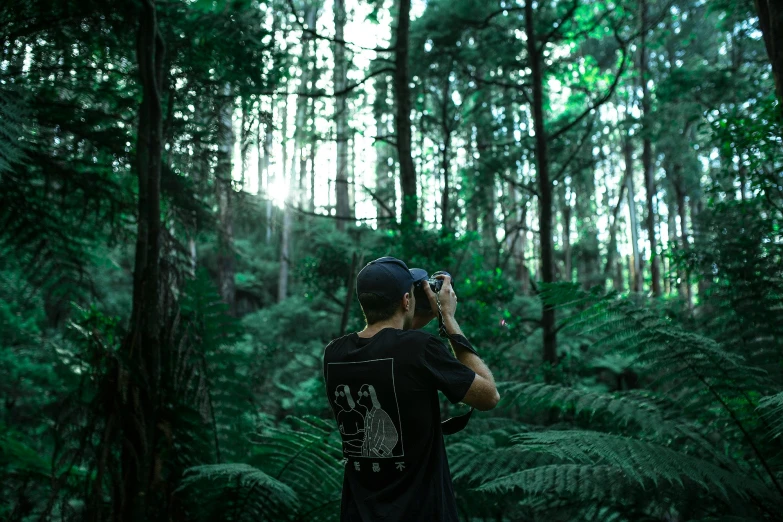 a person takes pictures of the trees and ferns in a forest