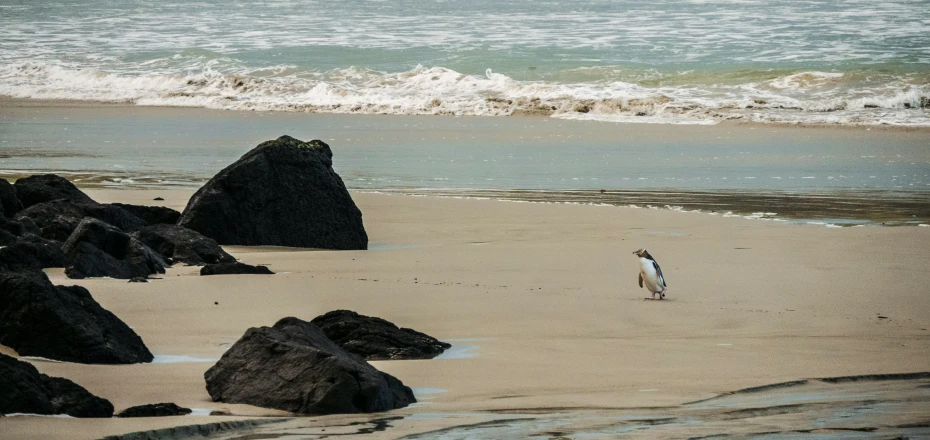 there is a woman standing alone on the beach