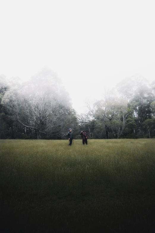 the people are walking along the grassy area