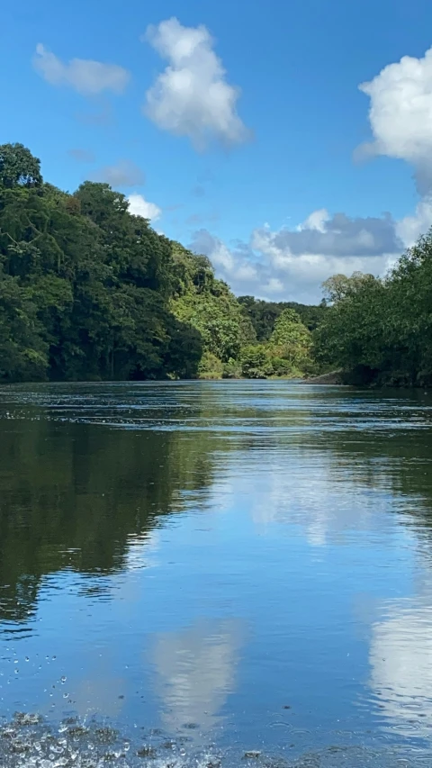 the calm water is filled with little waves