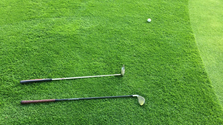 two golf clubs, one red and one black on the grass