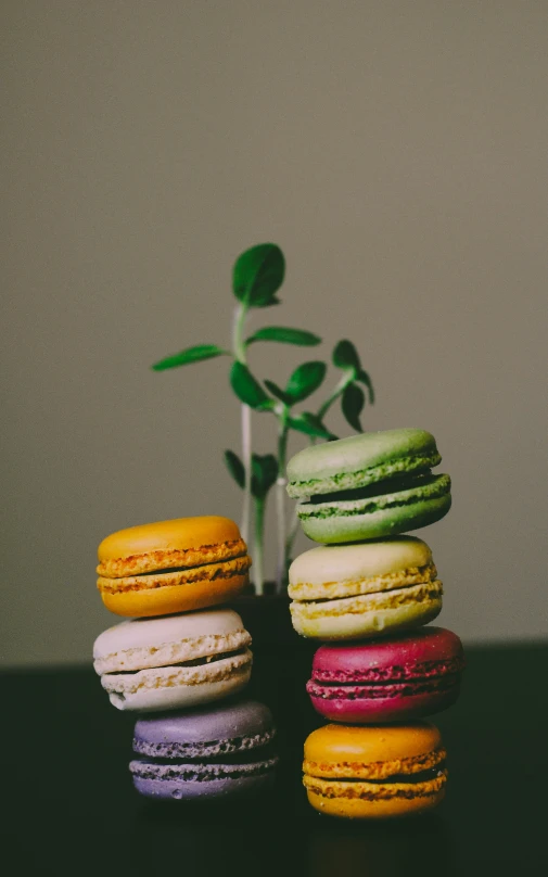 a stack of macaroons next to a plant