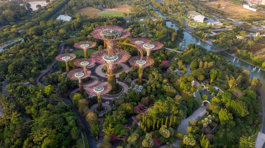a large green park in the middle of a big city