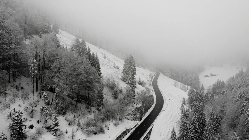 a black and white po of snow and trees in the woods