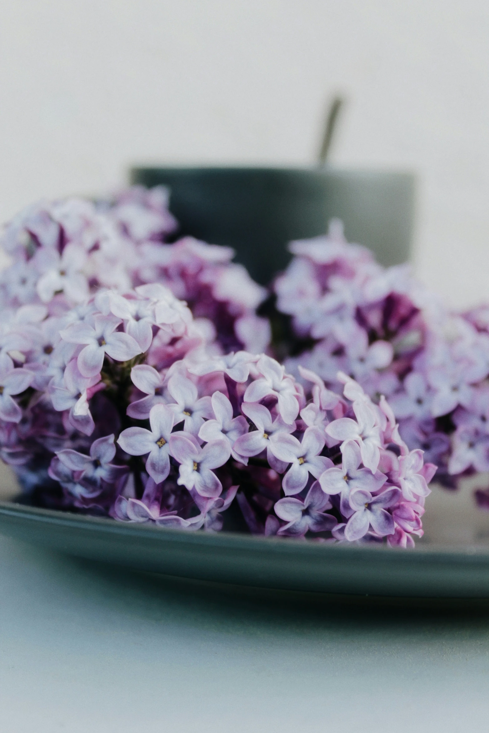 flowers in a gray plate on a table