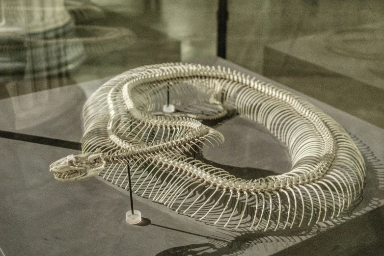 an ornate wire and glass object displayed in the museum